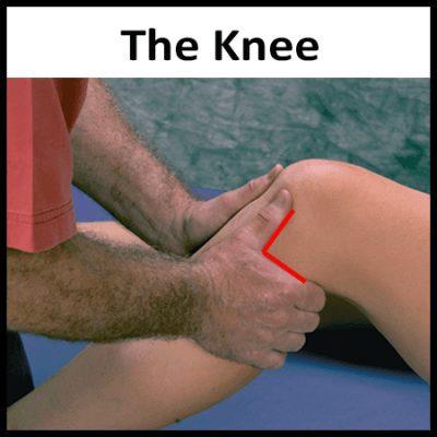 Module 7: The Knee