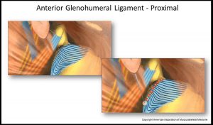 PROLOTHERAPY COURSE MODULES